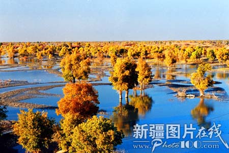 dvubb 按此在新窗口浏览图片