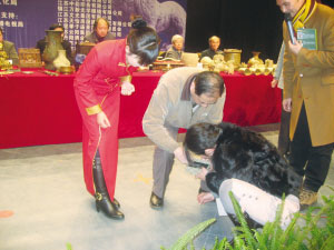 dvubb 图片点击可在新窗口打开查看