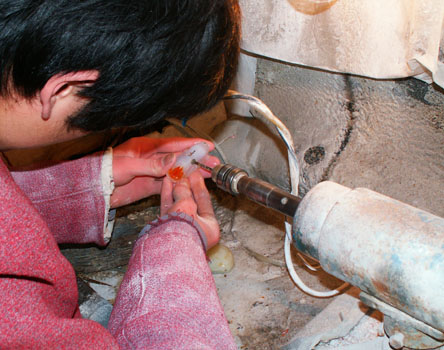 dvubb 图片点击可在新窗口打开查看