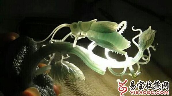 dvubb 图片点击可在新窗口打开查看